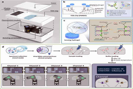 Scientists at INU develop new 'TwinDemic' diagnostic system for rapid viral testing